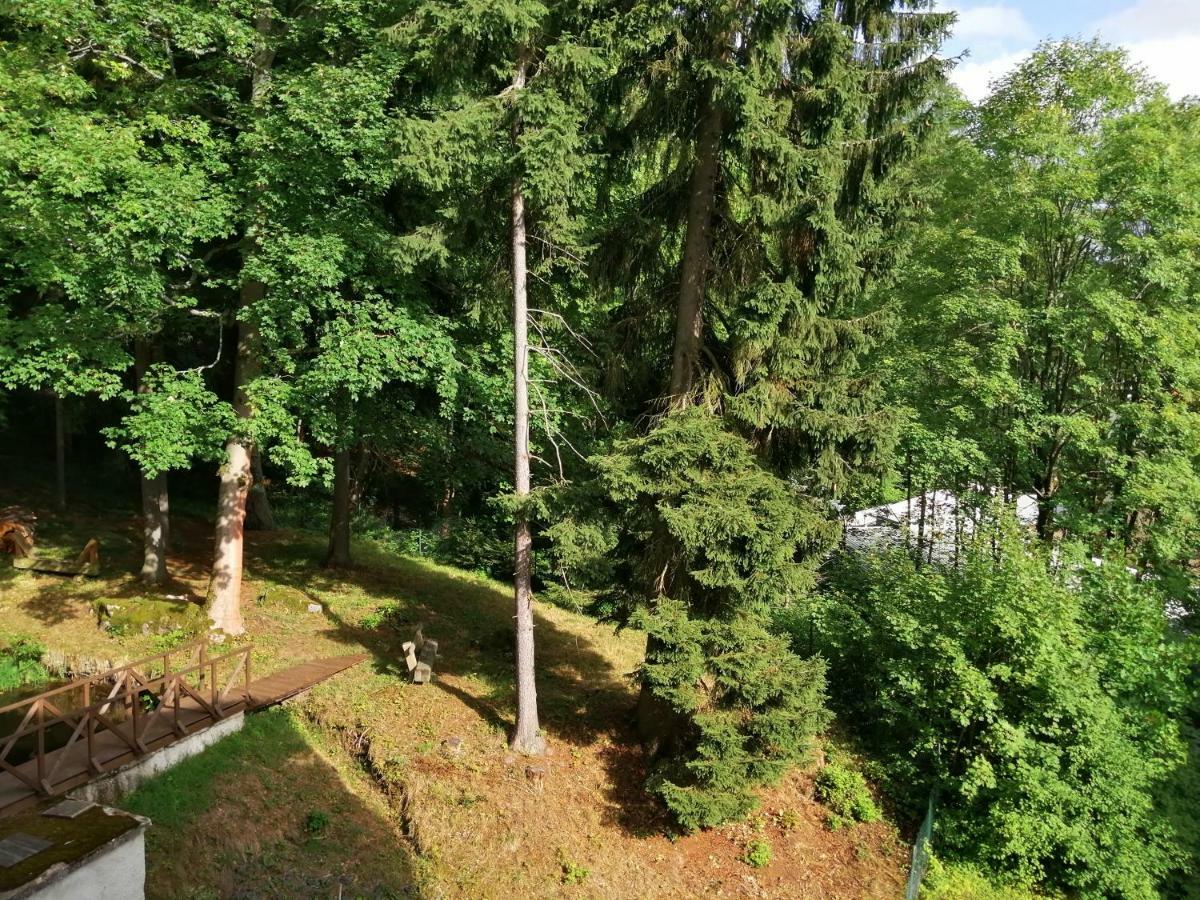 Parkhotel Forest Mariánské Lázně Екстериор снимка